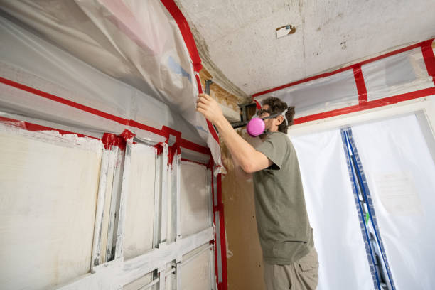 Best Mold-Related Health Consultation  in Salado, TX