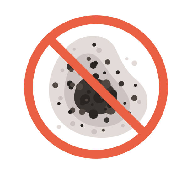 Best Residential Mold Inspection & Testing  in Salado, TX