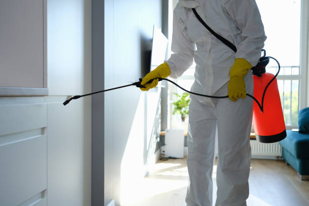 Best Airborne Mold Testing  in Salado, TX