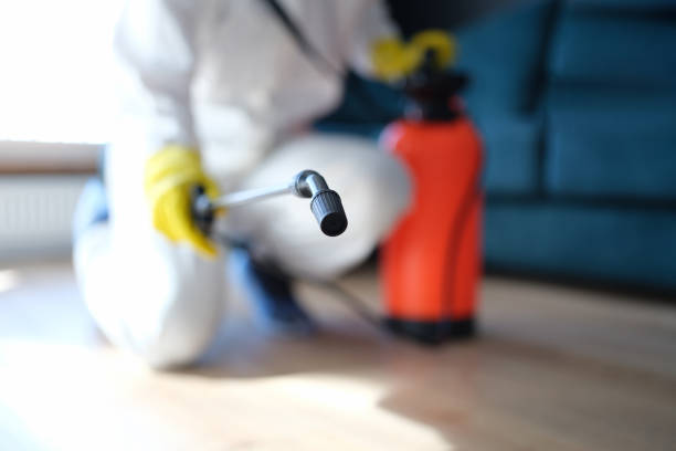 Best Environmental Consulting for Mold Prevention  in Salado, TX