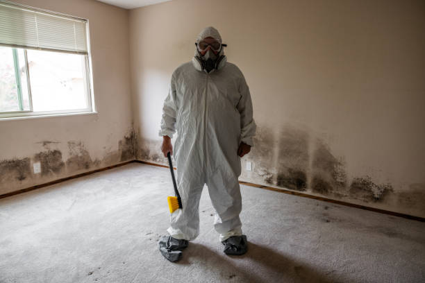 Best Mold Odor Removal Services  in Salado, TX